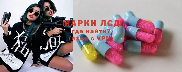 спайс Пересвет