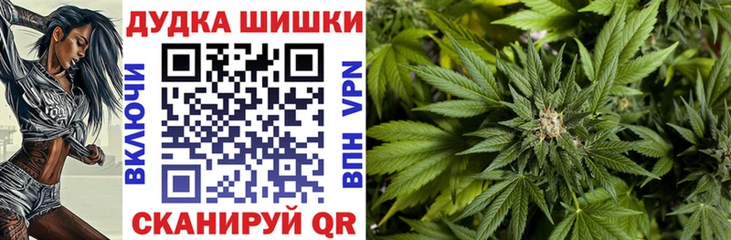 Шишки марихуана SATIVA & INDICA  где найти   Свободный 